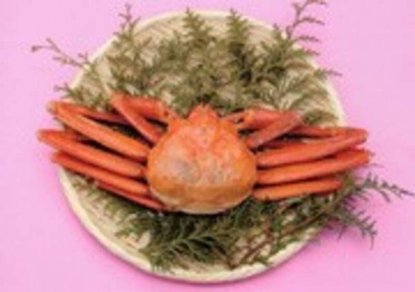 【郡山・須賀川・白河エリア発】 年度末、大判振る舞いミステリー(日帰り)2